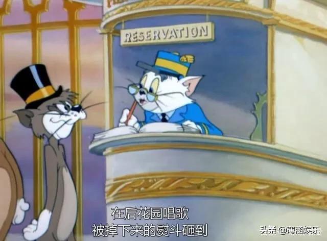 搞笑猫咪和狗狗图片:同时养一只猫和一只狗是种怎样的体验？