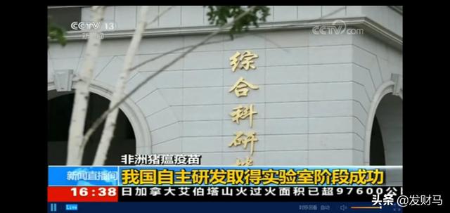 意大利花斑灵蹄犬:为何非洲猪瘟如此难对付？