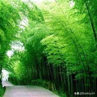 7月15灵异事件图片:刚过七月十五中元节，说说你们遇到过的诡异事件吧？
