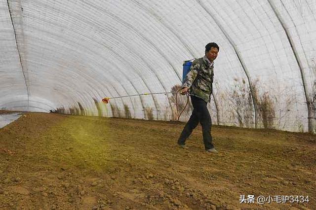 甘麟翰:转基因黄豆与非转基因有什么区别？