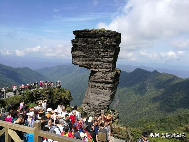 杜鹃花多少钱一株楼梯:赣州的苗木花卉主要有些什么品种？哪个比较好？