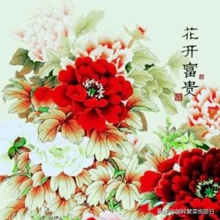 秀丽王:古人为什么说牡丹是“花中富贵者”