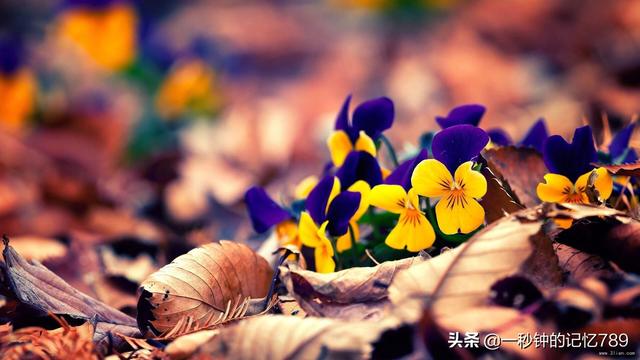 前任加你微信什么心态:我想知道前男友结婚了还联系我是什么意思啊，不停加我微信？