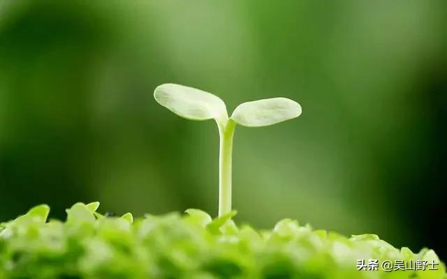 人类第一个祖先是男是女？第一个人类又是怎么来的？