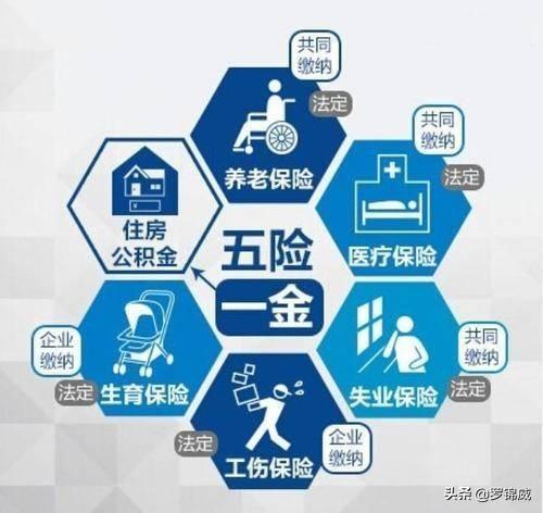 五险一金指的是哪些具体内容？在什么情况下我们可以享受相应的待遇？