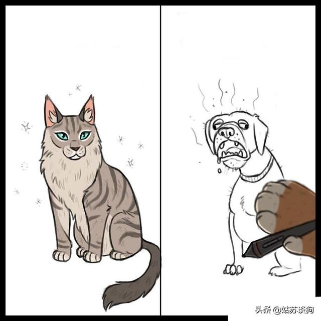 猫狗大战小游戏:为什么猫和狗打架，狗总是打不过猫呢？