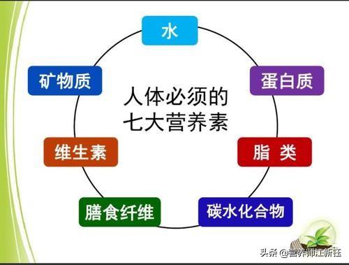 人体营养素:什么是营养素，微量元素和膳食纤维是营养素吗？