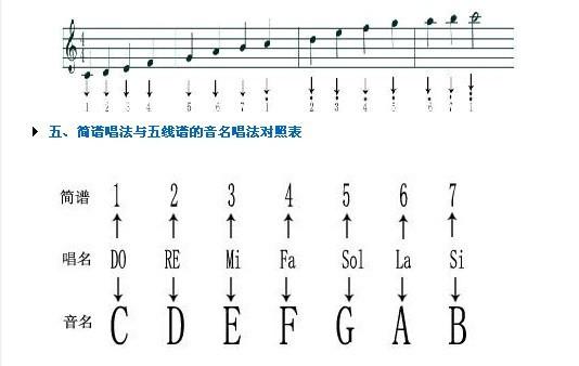 头条问答 - 音阶与琶音的区别是什么?(4个回答)