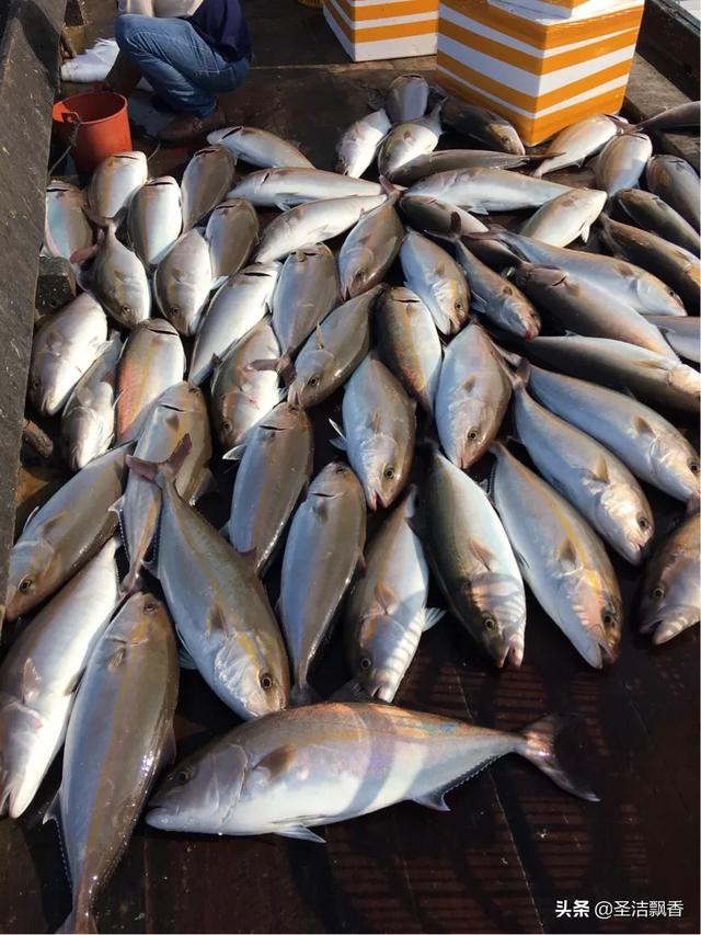 山东一高校湖内出现大型肉食鱼，为什么最近肉鱼蔬菜食品价格上升这么快