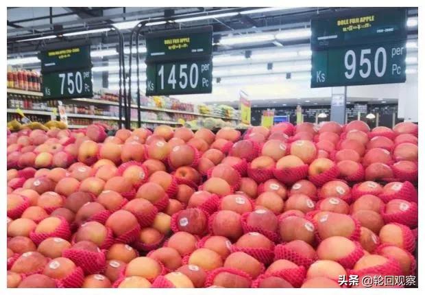 男左女右 缅甸猫:为什么要“男左女右”？为什么不能反过来呢？