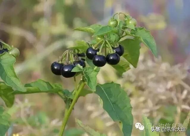 贵人出生异象,人的一生出现贵人是恒定的吗？