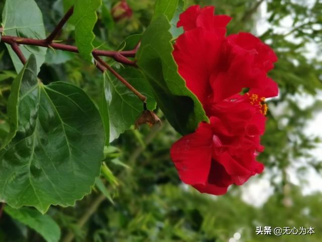 散户如何在股市中跟踪主力庄家轨迹,做到“与庄共舞”实现盈利? - 第3张