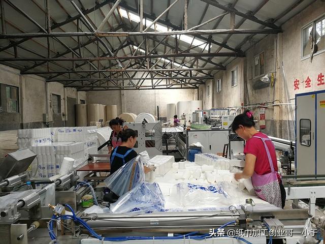 在家开个小型加工厂生产卫生纸的成本高吗？