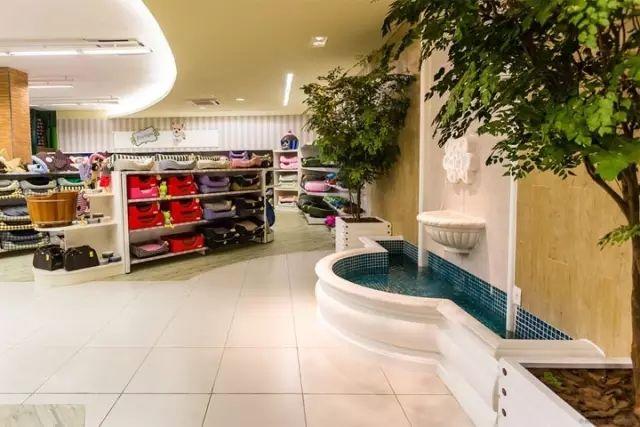 想开个宠物专卖店:开个宠物加盟店怎么样，可以赚钱吗？