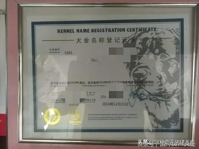 罗维纳犬报价:一只好点的罗威纳犬，大概要多少钱，为什么？