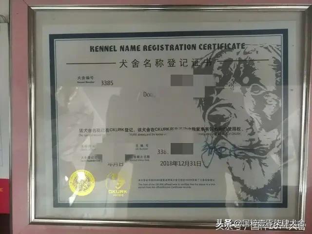 罗威纳肉嘴防暴犬图片:罗威纳vs卡斯罗，谁更优秀？