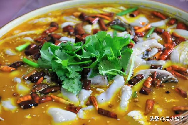 头条问答 - 清江鱼适合做水煮鱼吗?(阿biaovlog的回答,0赞)