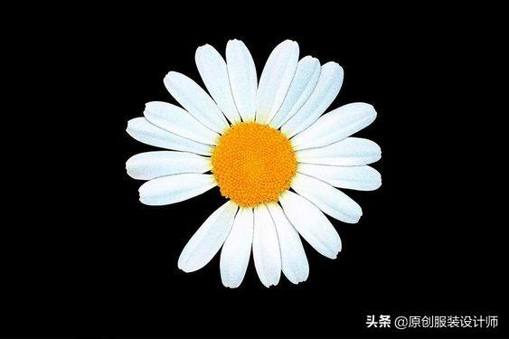 锁骨放硬币:你认为今年最烂大街的穿搭是什么样式的