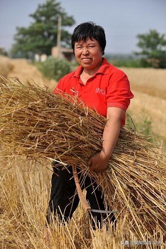 农民工一年不回一次家,在家留守的妻子都会在家干嘛？