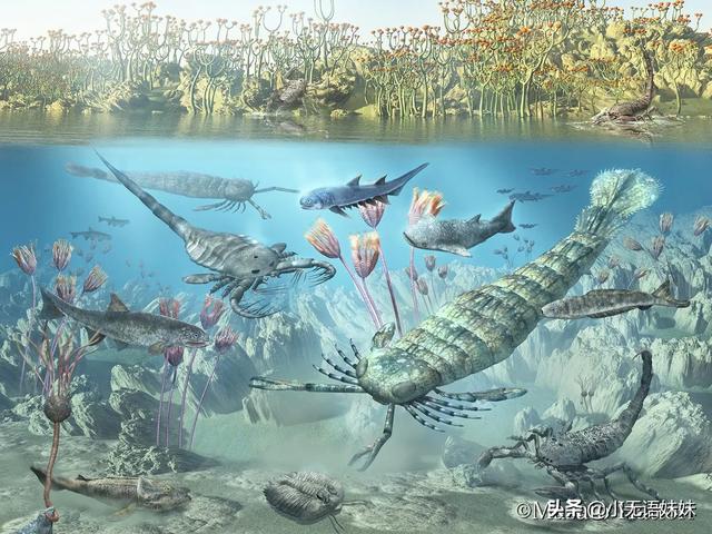 远古巨兽大复活旋齿鲨:远古巨兽旋齿鲨 地球上有哪些奇异的史前生物？