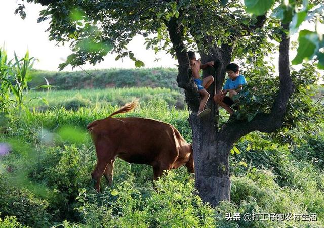 70后,还记得当年那些家务活吗？