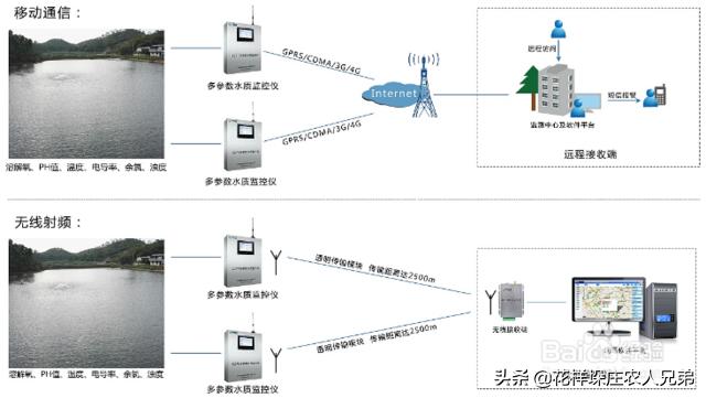 水产养殖水质在线监控如何搭建有分析和案列分享吗