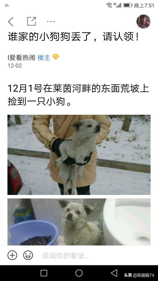 康多乐狗粮是国产的吗:网上叫嚣着国产猫粮不好，养猫只能喂进口猫粮是什么心态？