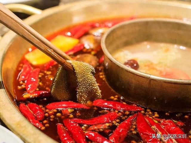 藏獒成火锅食材视频:南方人与北方人吃火锅都有什么特点？ 藏獒肉涮火锅