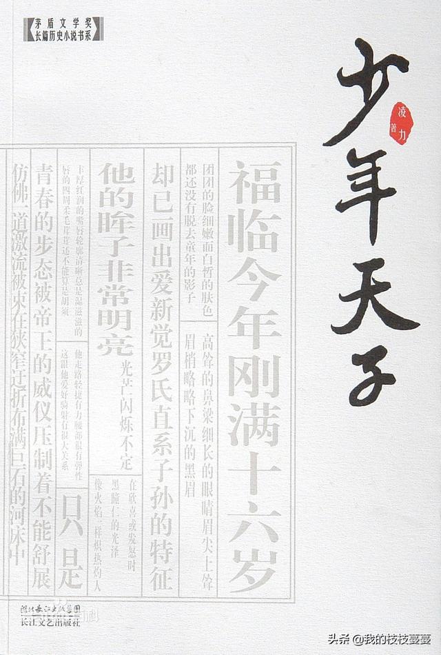 能否推荐几本类似于《大明王朝1566》那样的历史小说,穿越的就算了？
