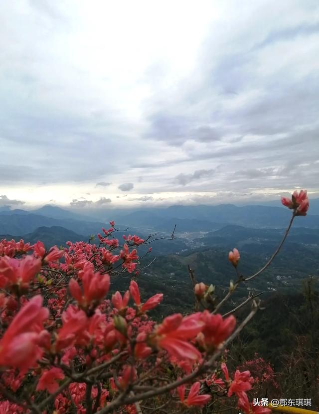 英山旅游景点,武汉至英山沿途有什么风景区玩？