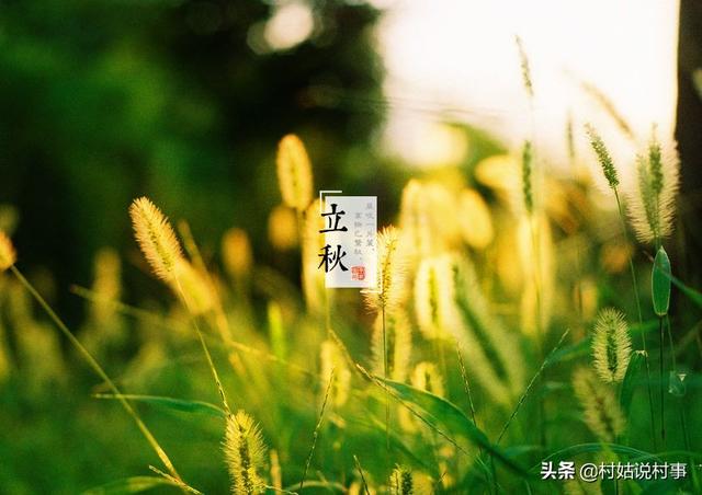 今年到底是早立秋，还是晚立秋？