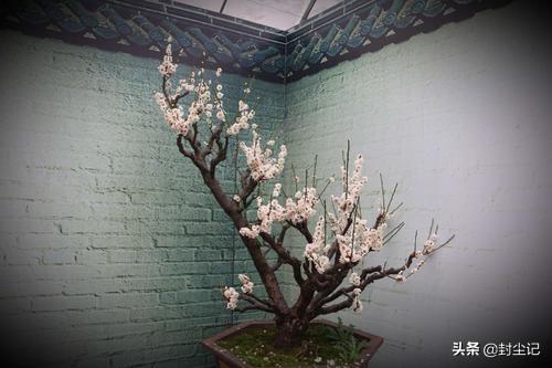 王安石资料:北宋王安石的保甲法制度是什么？保甲法发挥了什么作用？