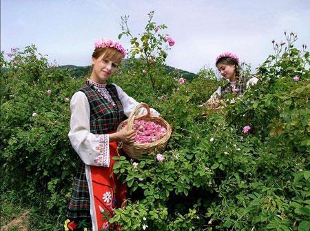 保加利亚新娘集市是什么时候，保加利亚是个怎样的国家？