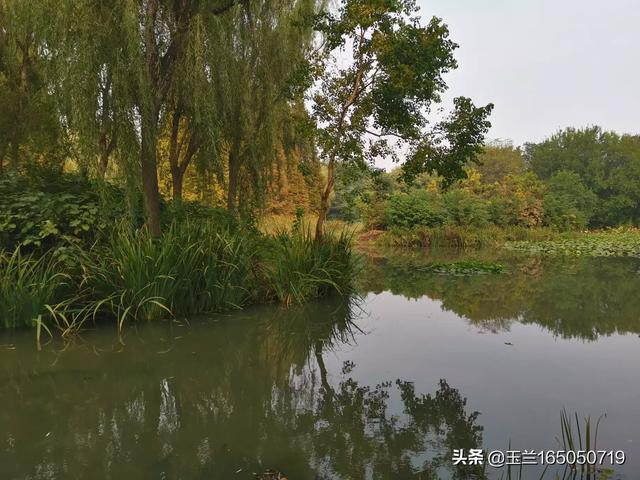 银川马拉松赛再次延期:在景区有陌生人请你帮忙拍照，你会答应还是拒绝？