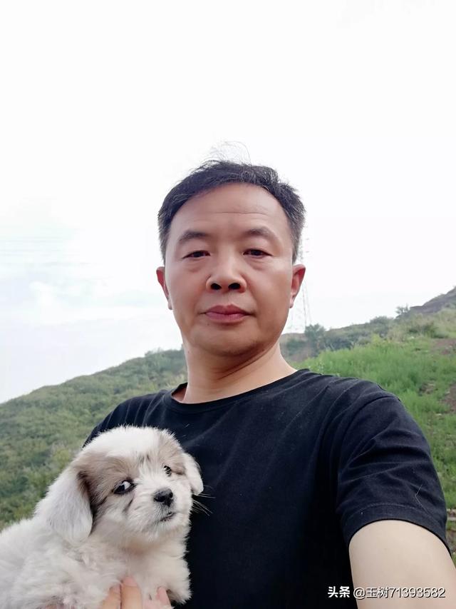 可爱小小时尚狗的照片:你手机里有可爱狗狗的照片么？发出来看看？ 可爱小白狗的照片