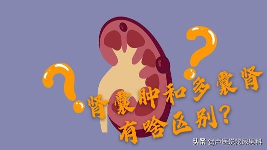 双肾囊肿是怎么引起的，多囊肾和多发性肾囊肿是一回事吗