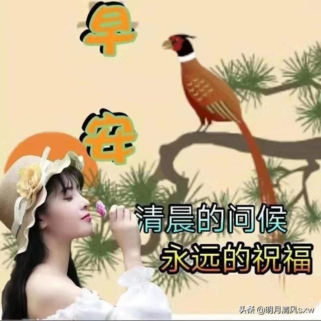 shmily的另一半:在婚姻生活里，你所期待的伴侣是什么样的？