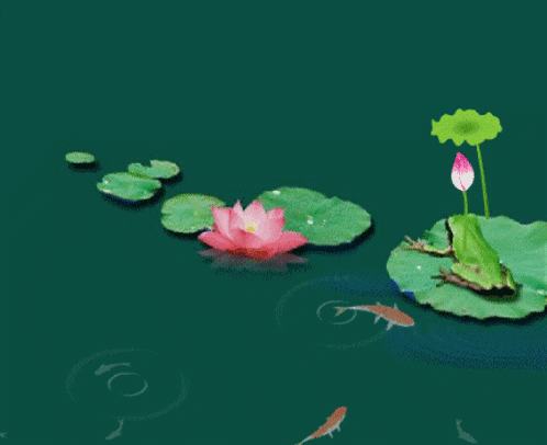 头条问答 - 为什么荷花被称为"水中芙蓉"?(zhoudayang的回答,0赞)