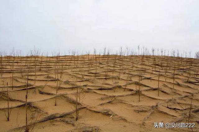 沙漠的沙子为什么不能用,沙漠中的沙子能当建筑材料？