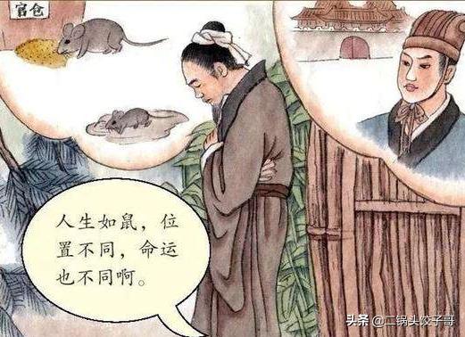 什么是“老鼠哲学”？