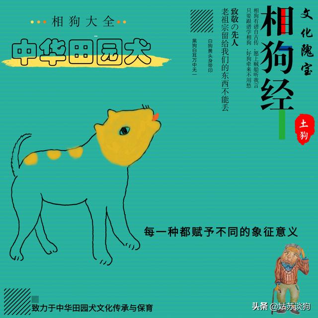 虎皮丹犬图片欣赏:广西土猎犬小狗颜色怎么挑？ 虎皮卡斯罗犬图片欣赏