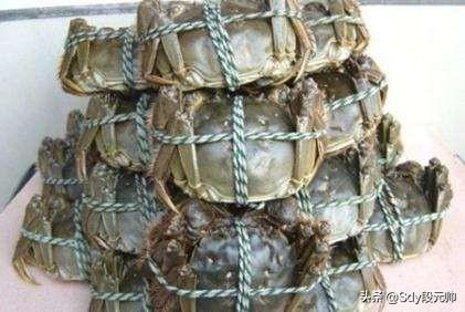 海蟹怎么保存:邻居送了几个螃蟹，怎么保存才好？