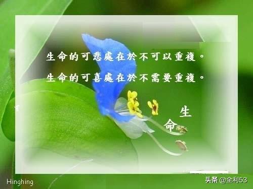 击鼓退金兵:明知道没有未来的幸福，还该继续吗？