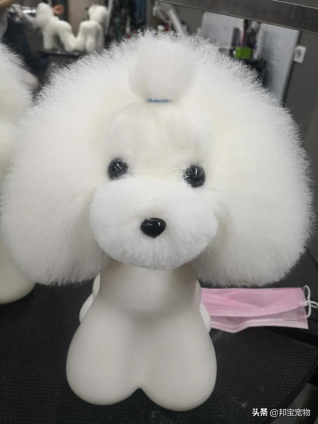 宠物美容师招聘要求:开宠物美容店要多少钱，必须具备哪些才能开？