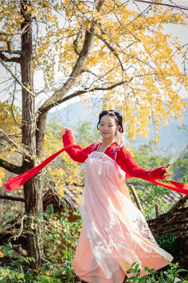 韶关户外群:韶关南雄去拍银杏，有什么地方可以露营搭帐篷？(上海可以搭帐篷的公园)