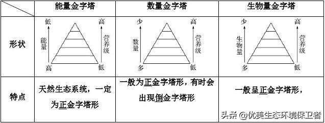 猞猁与少女交尾:为什么食肉动物繁殖率都很低，食草动物繁殖率这么高？