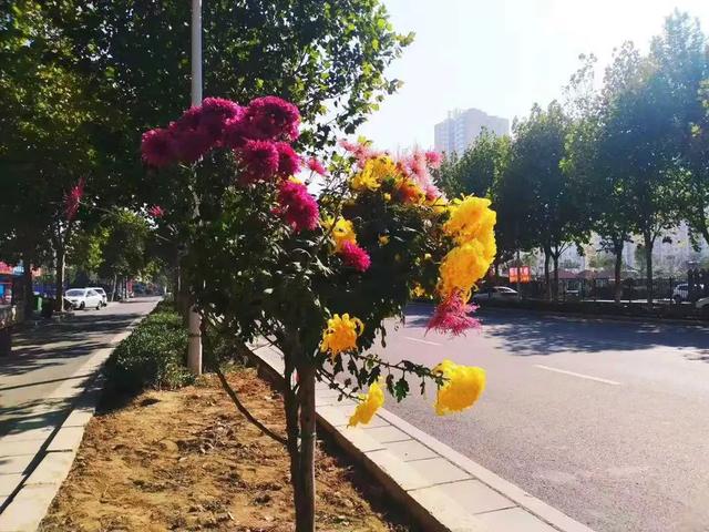 谷城承恩寺有灵异事件:你们对襄阳的古隆中了解多少？