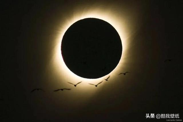 2021年有什么奇观，“火环”日食将于6月21日上演，哪里能看到到底有多壮观