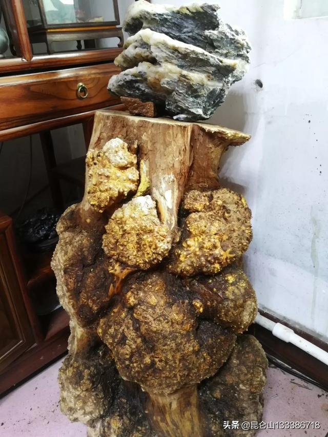 疫情期间,有多少人在家已憋疯？你会做些什么呢？