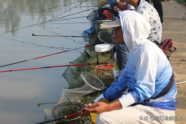 魔兽世界怀旧服新鲜的夜鳞鲷鱼在哪钓:求钓鱼大师高手解答，罗非和三道鳞混养坑怎么钓？